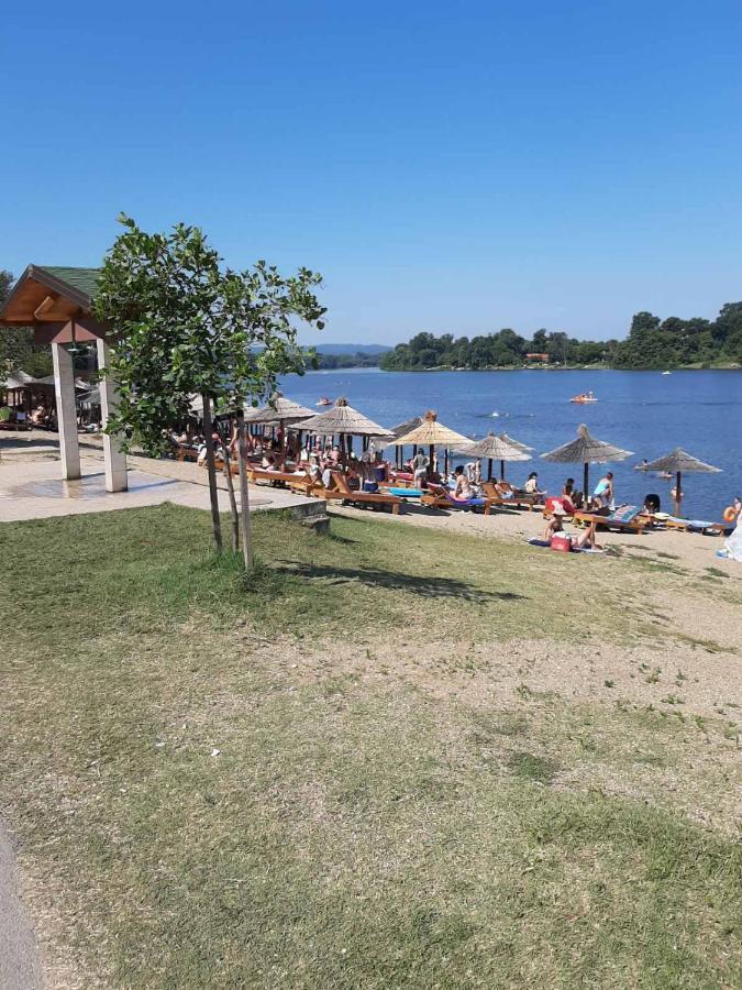 Apartmani K&V Veliko Gradište Εξωτερικό φωτογραφία