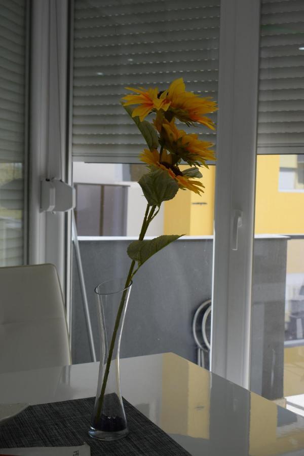 Apartmani K&V Veliko Gradište Εξωτερικό φωτογραφία