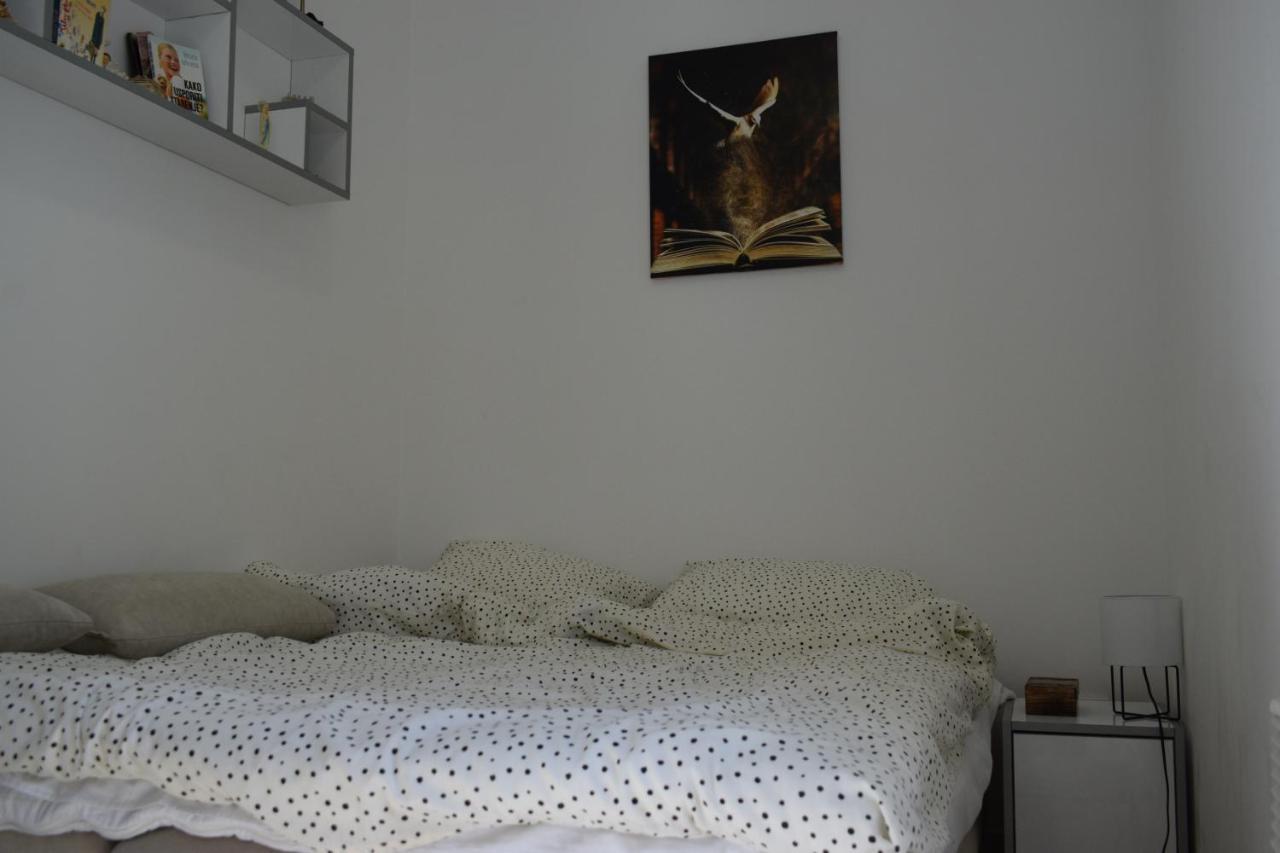 Apartmani K&V Veliko Gradište Εξωτερικό φωτογραφία